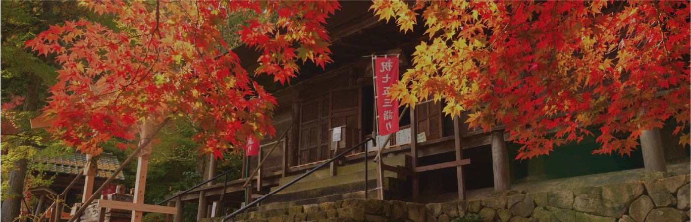 秋セクションの導入背景